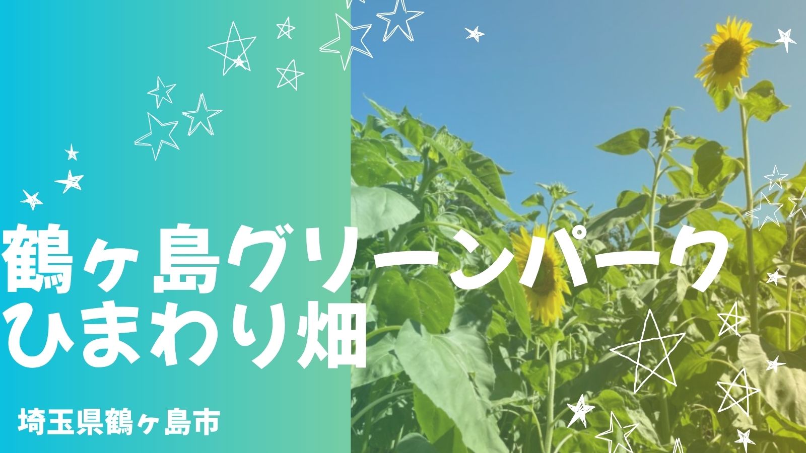 【2026年】鶴ヶ島グリーンパークのひまわり畑！見頃・駐車場・子どもが楽しめる迷路を体験
