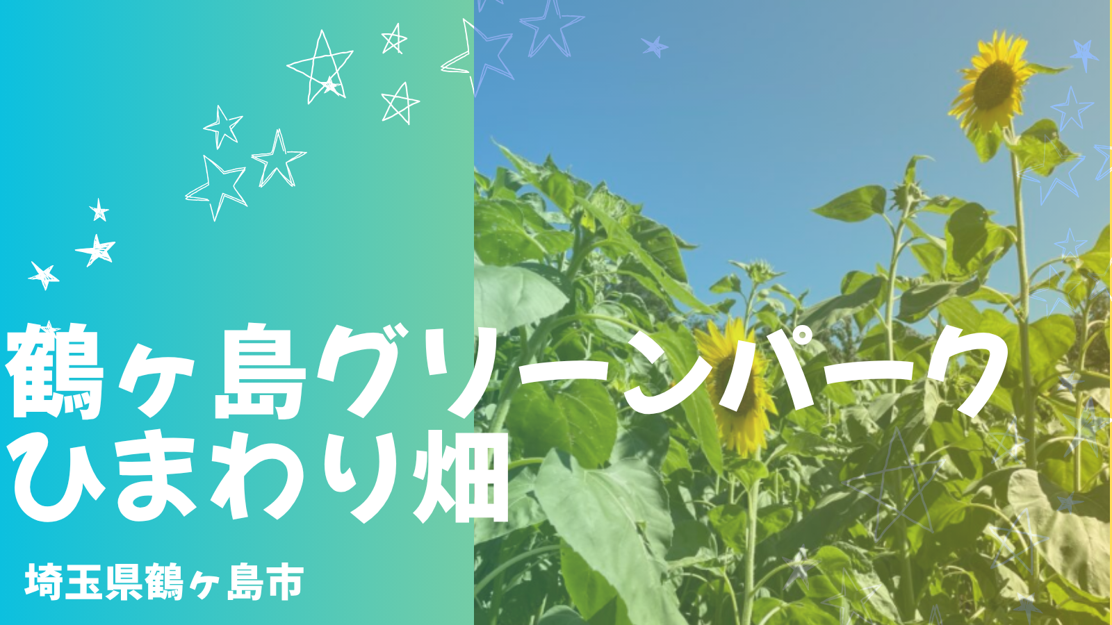 鶴ヶ島のひまわり畑が穴場すぎた!川越・坂戸・日高からのアクセスも抜群