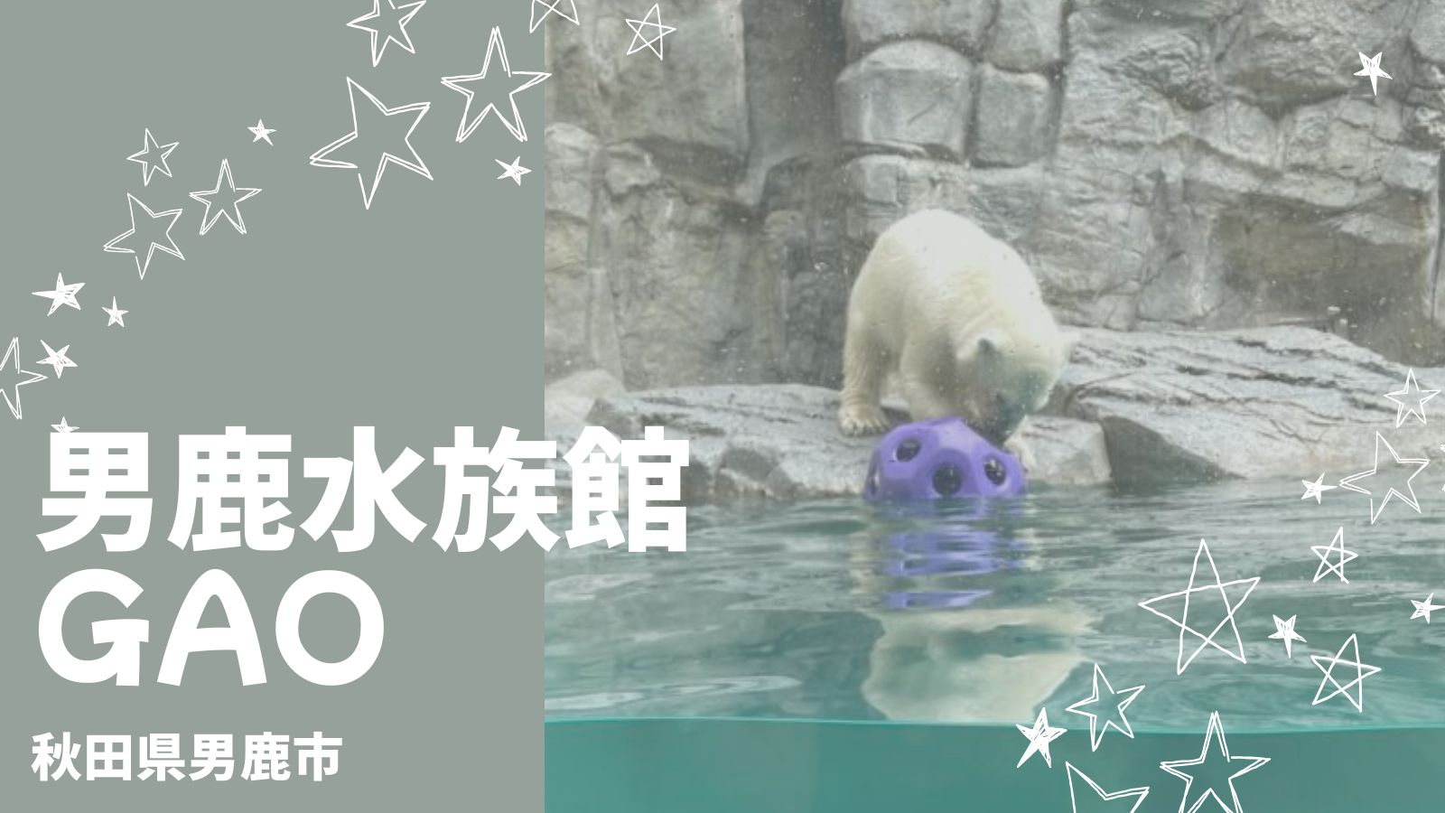 男鹿水族館GAOは赤ちゃん連れも安心の設備・混雑回避術・年齢別の楽しみ方まとめ