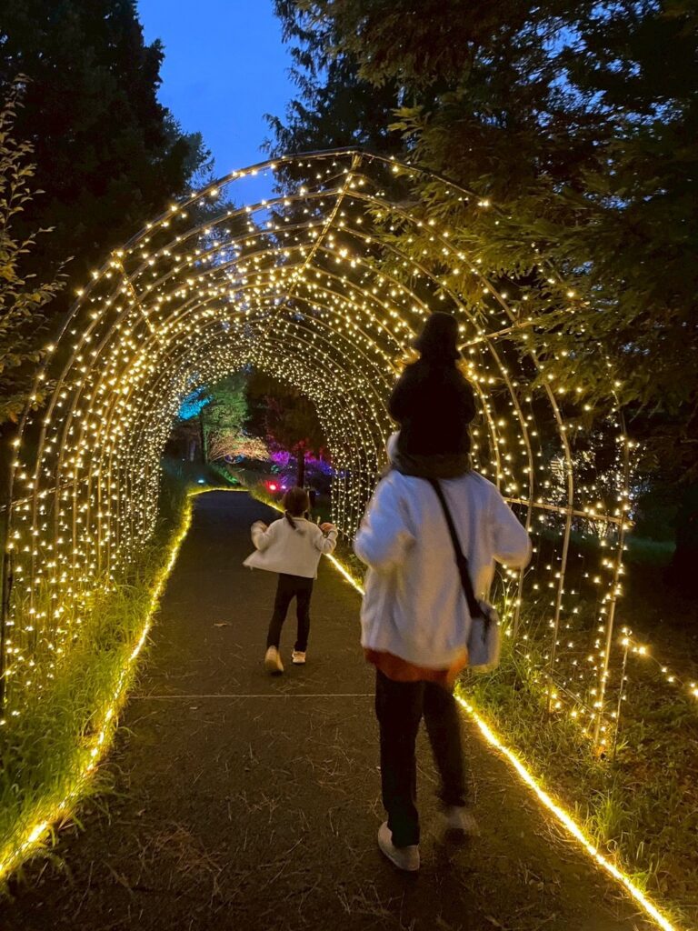 光のゲート