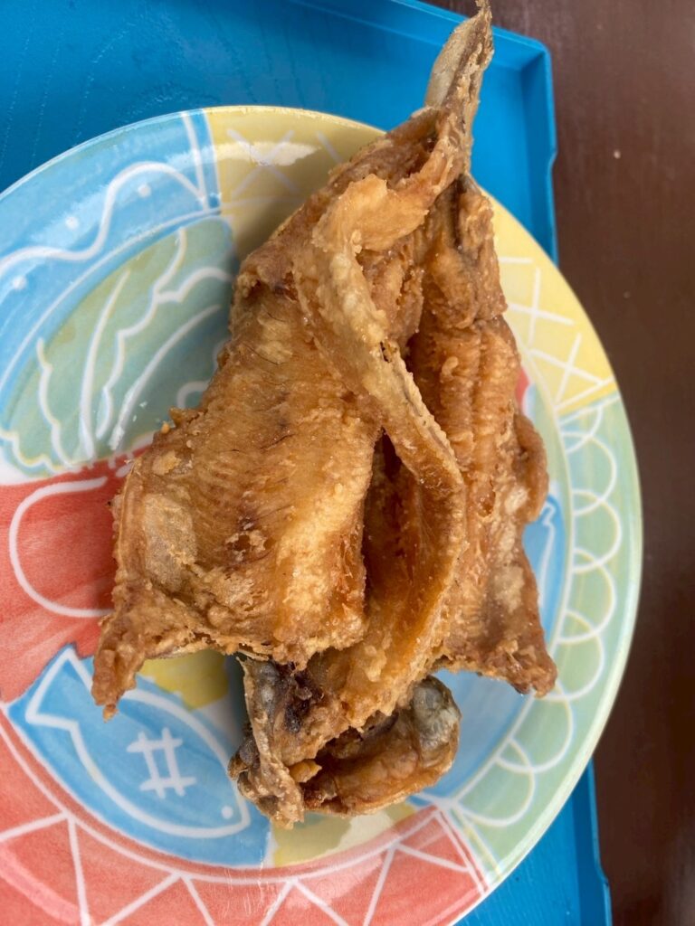 那須渓流パークで食べた魚