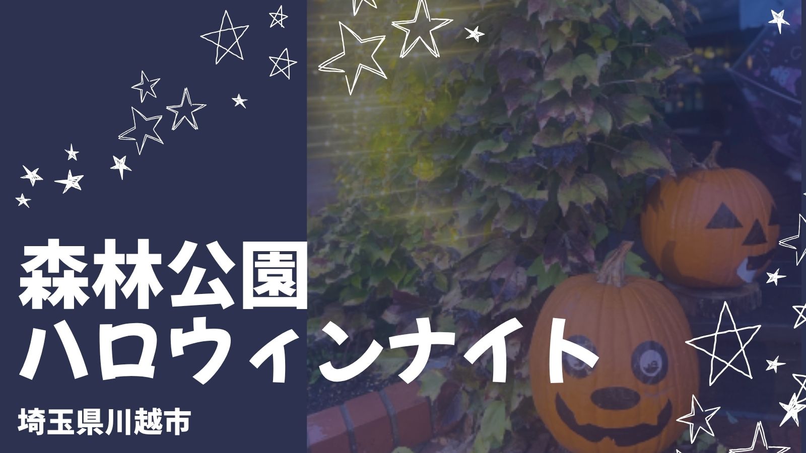 森林公園「森のハロウィンナイト」は子連れでも楽しめる？2025年の混雑・駐車場・おすすめ時間を実体験レポ