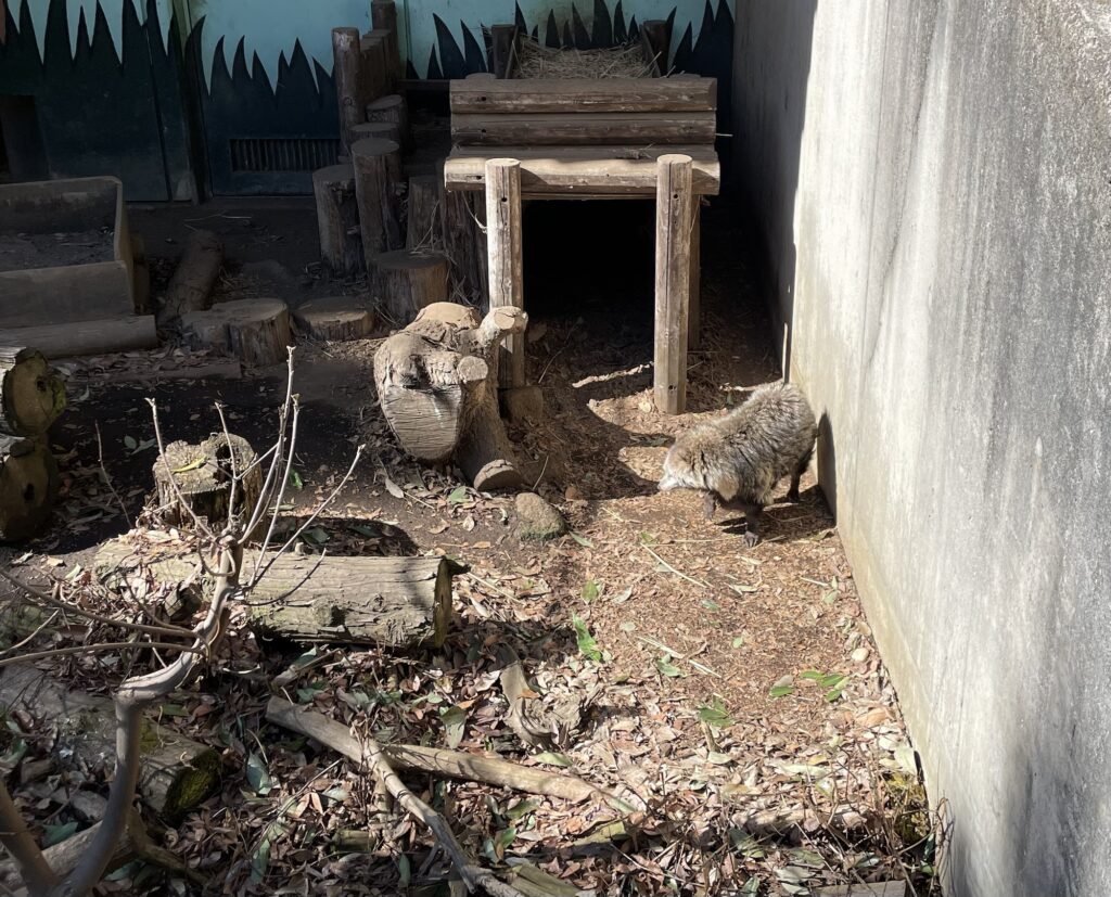 智光山公園こども動物園の動物
