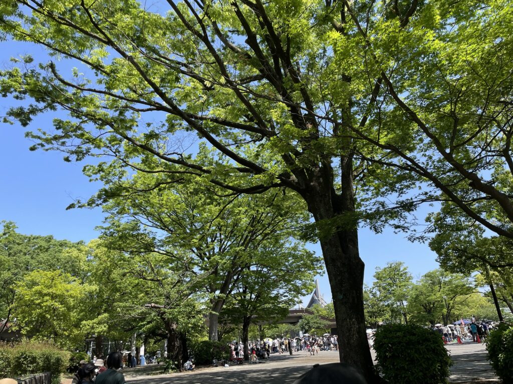GW中の代々木公園の様子
