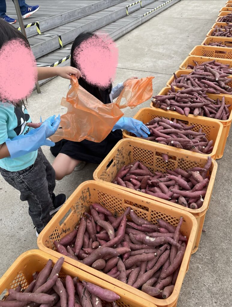 かいつかでさつまいも詰め放題に挑戦する子どもたち