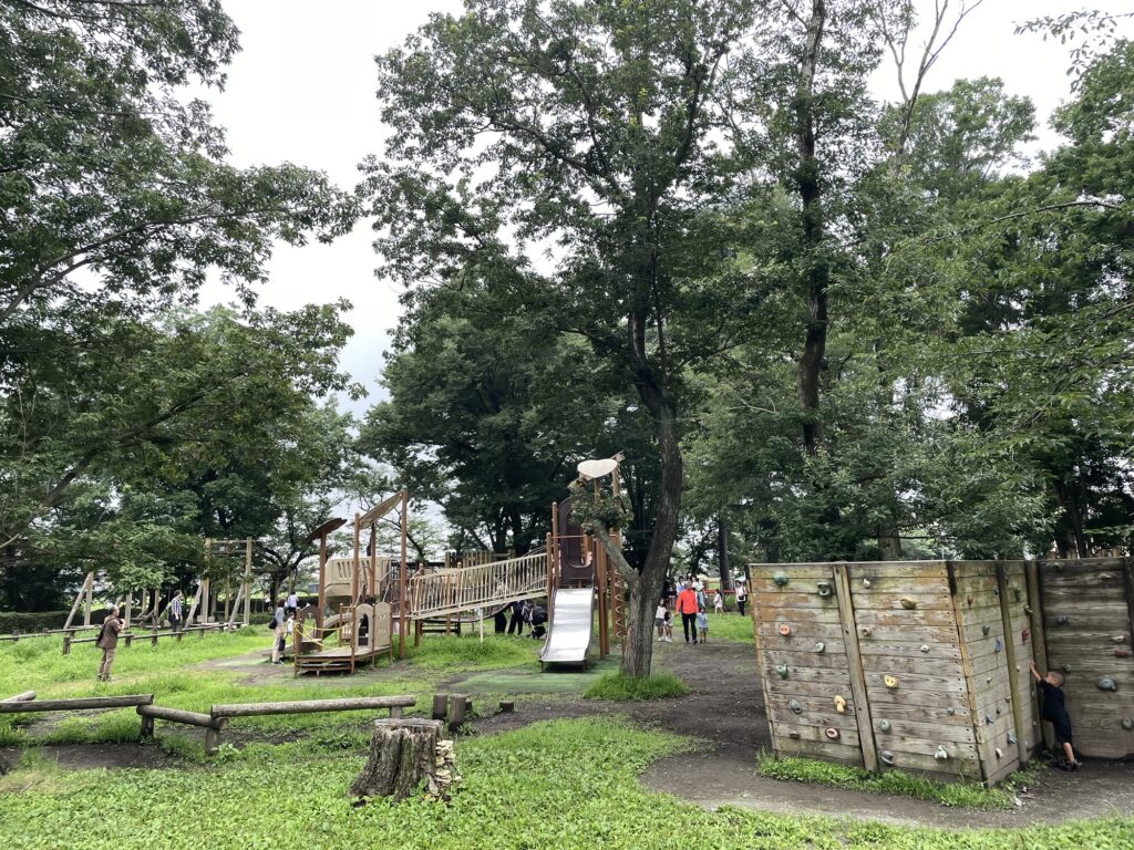 伊佐沼公園冒険の森