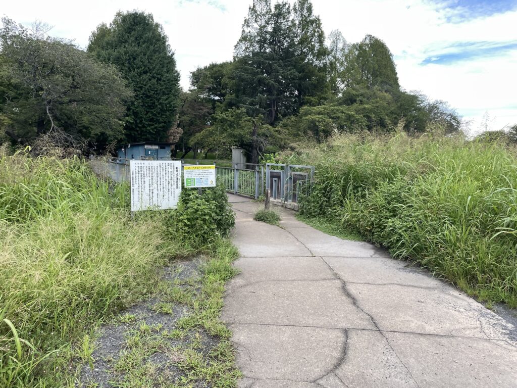 駐車場から公園までの舗装された道